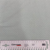 Baumwolle Mint Pünktchen 0,5 m